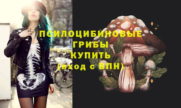 мяу мяу мука Волоколамск